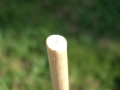 IMGP3059 