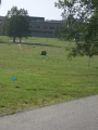 IMGP3082 