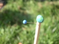 IMGP3090 