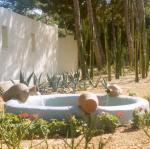 fountain