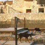 Knossos
