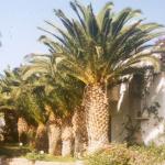 view of the hotel